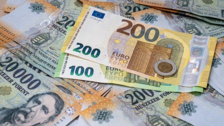 euro-bevezetese-magyarorszagon