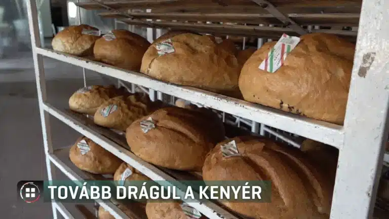 Tovább drágul a kenyér