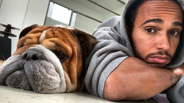 Lewis Hamilton kutyája