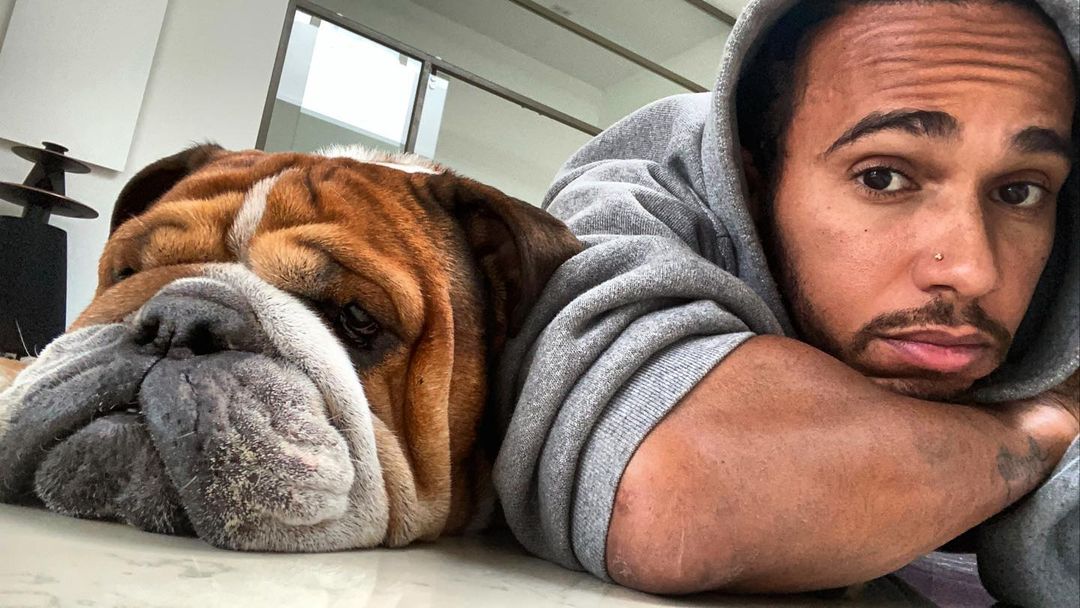 Lewis Hamilton kutyája