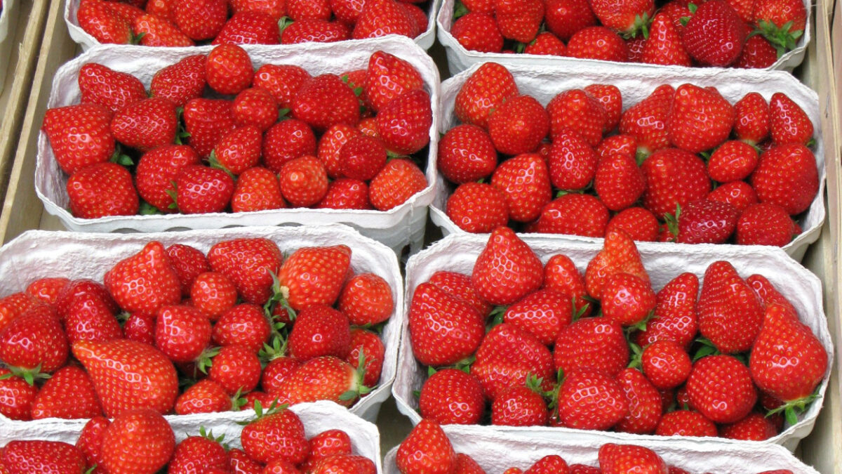 Magyar eper Import eper